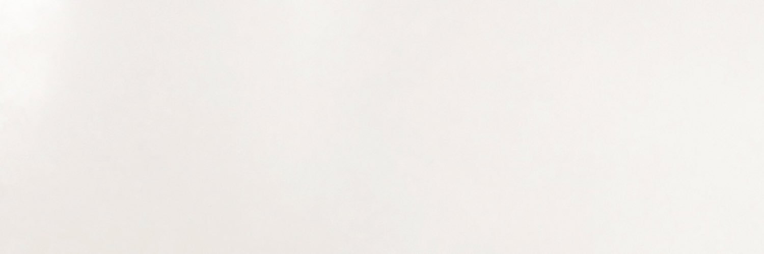 camel banner