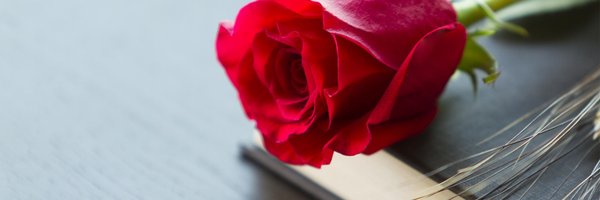 RosedaleTrain Profile Banner