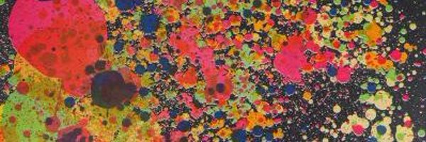 silviasondereg2 Profile Banner