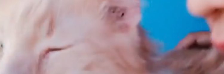 ribbingirl's profile banner image