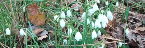 AndreeaCiudin1 Profile Banner