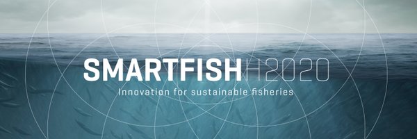 smartfishh2020 Profile Banner