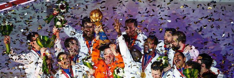 Bluefox 🏨👏 banner