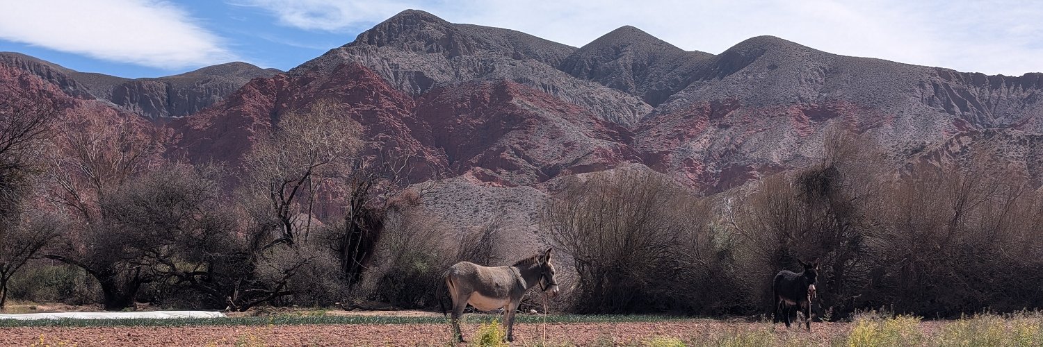 Fred Schnatterer banner