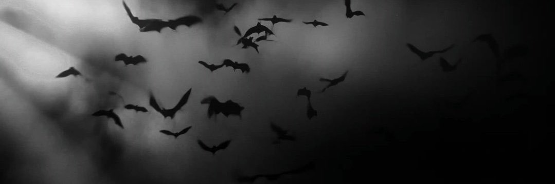 winterblue ♱⃓ ; sevEN banner