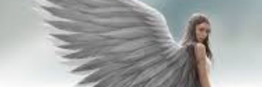 kathy_nicolini's profile banner image