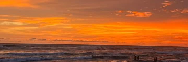 Ellie 🇲🇽 banner