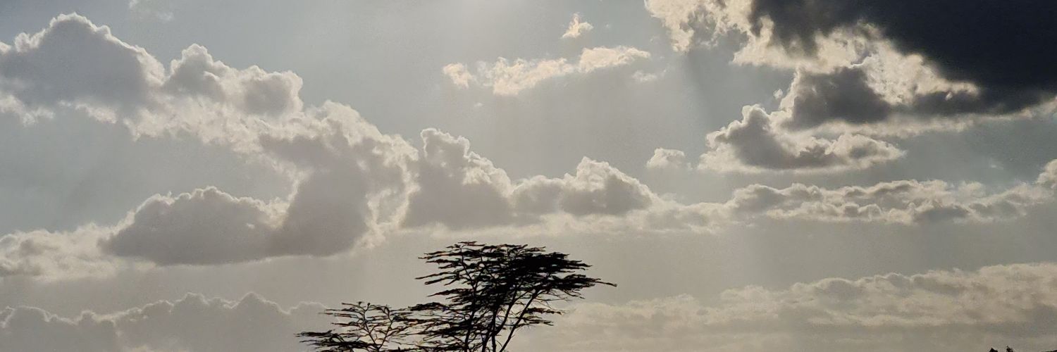 ngerepat's profile banner image