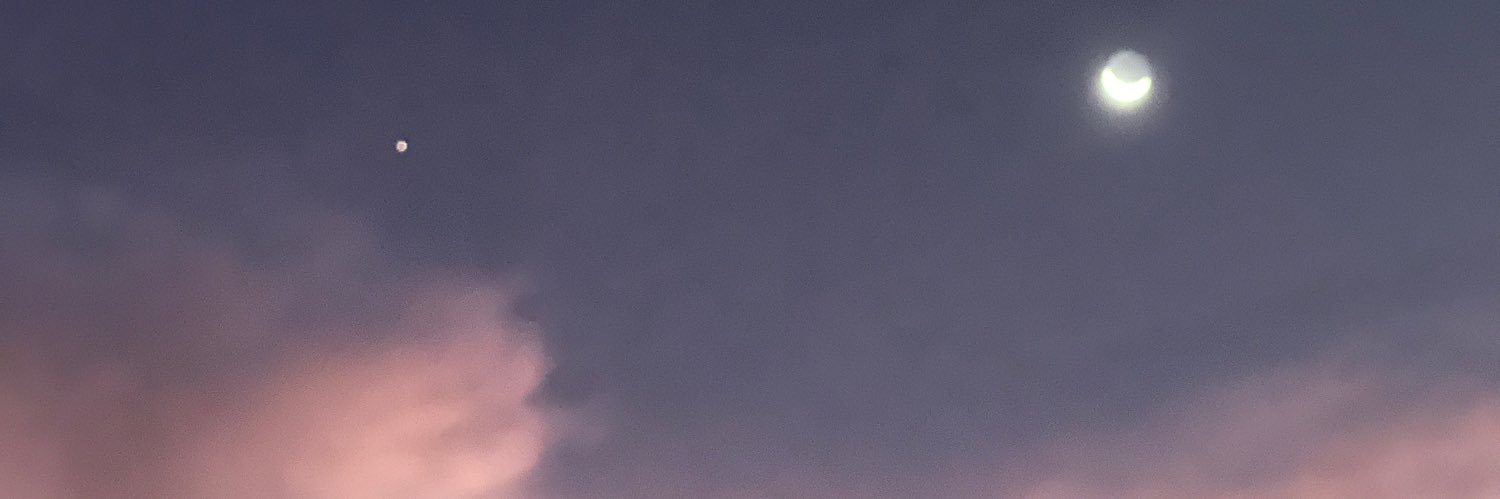 🌸 banner