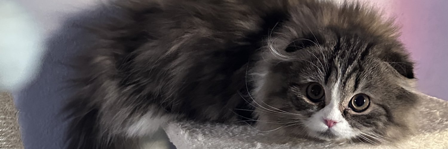 babyiceeeeeee's profile banner image