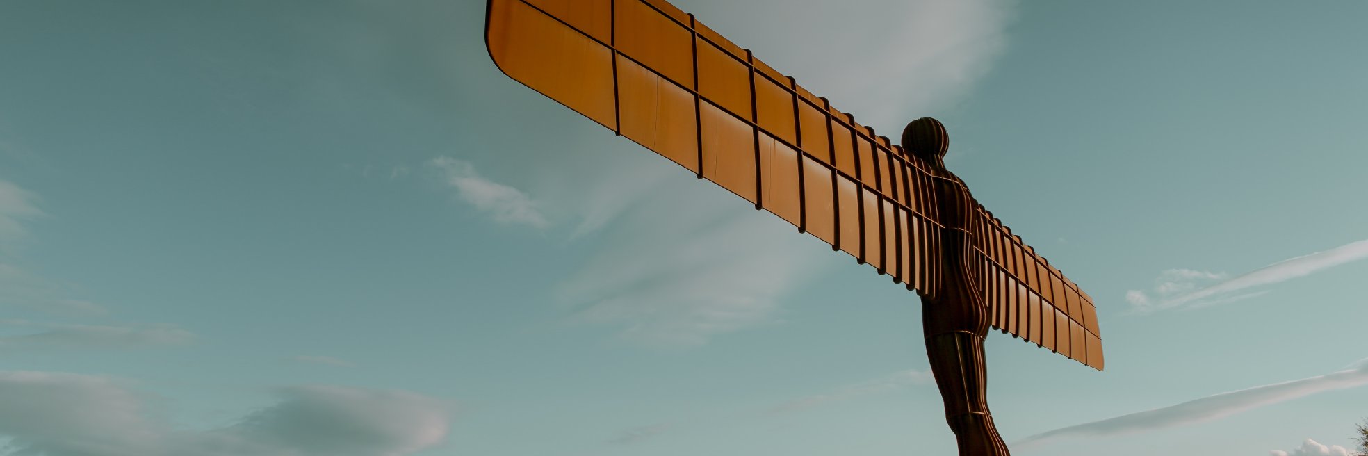 Adam Barrass banner