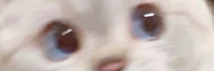BaptFon's profile banner image