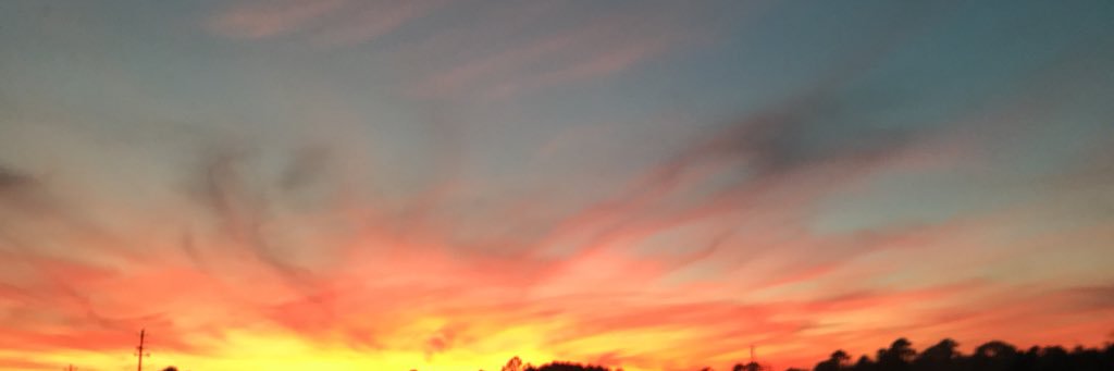 TylerTeixeira's profile banner image