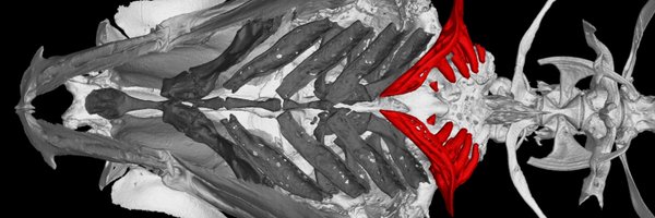 JakeLeyhr Profile Banner
