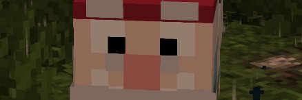 Bew banner
