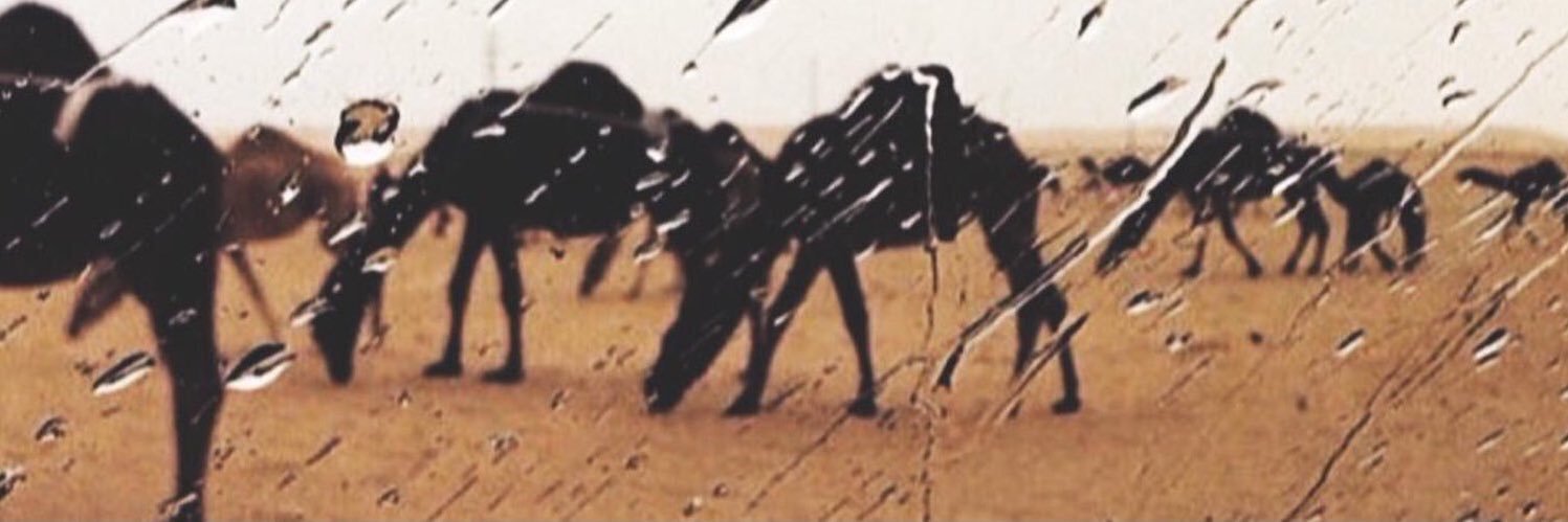sii5o2's profile banner image