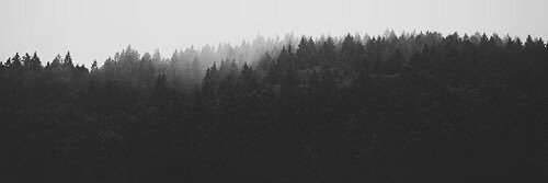 mesh_ooq's profile banner image