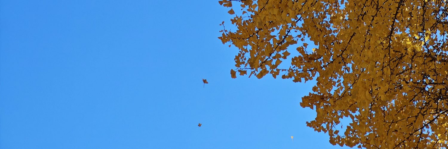 Cashhhhhh88's profile banner image