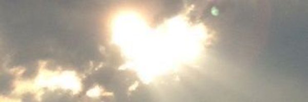 _admin___ Profile Banner