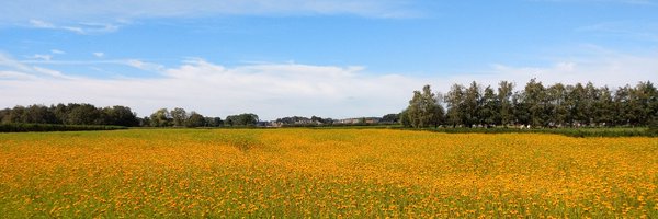 ErikKoffijberg Profile Banner