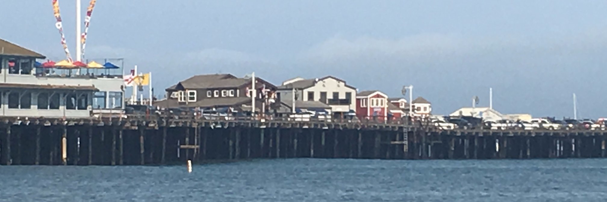 Dr. Rebecca Coates Nee banner