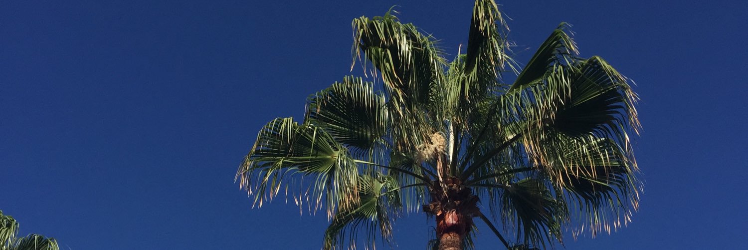 Bodyworkst's profile banner image