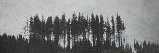 Inaats's profile banner image