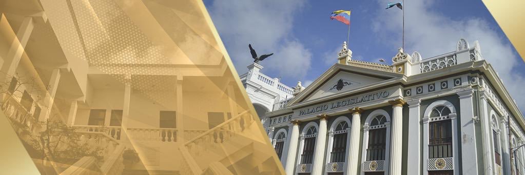 Consejo Legislativo Zulia 🇻🇪 banner