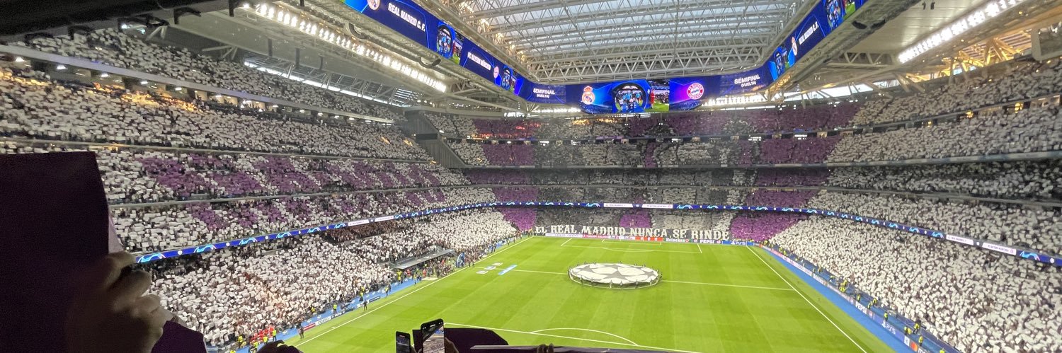 Dani banner
