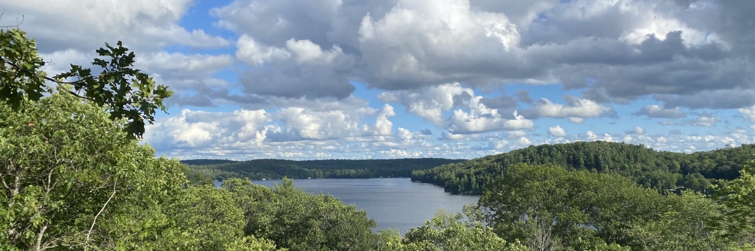 Ashley Lauren banner