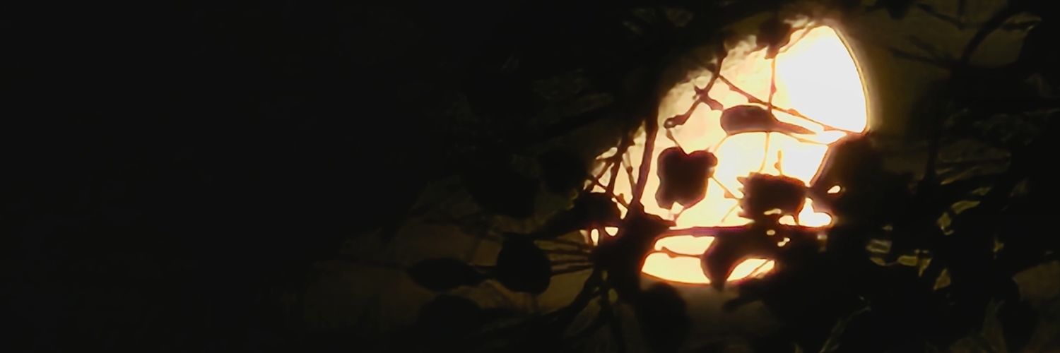 sebagostoo's profile banner image