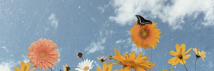 _audreyolvr's profile banner image