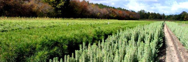 USFSNebraska Profile Banner