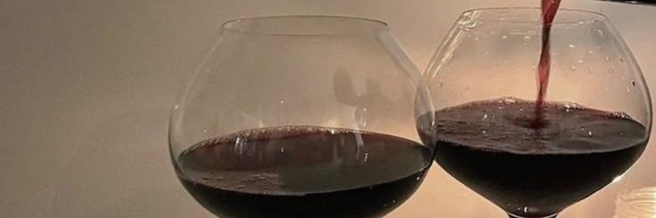 IsadoraRabelo2's profile banner image