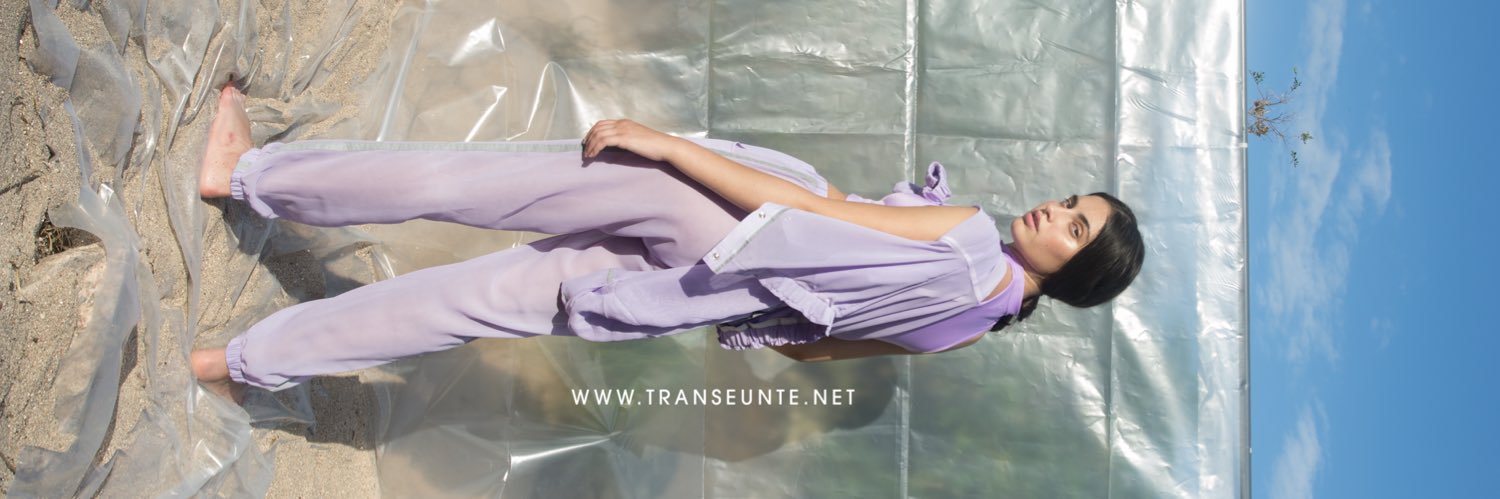 Transeunte's profile banner image