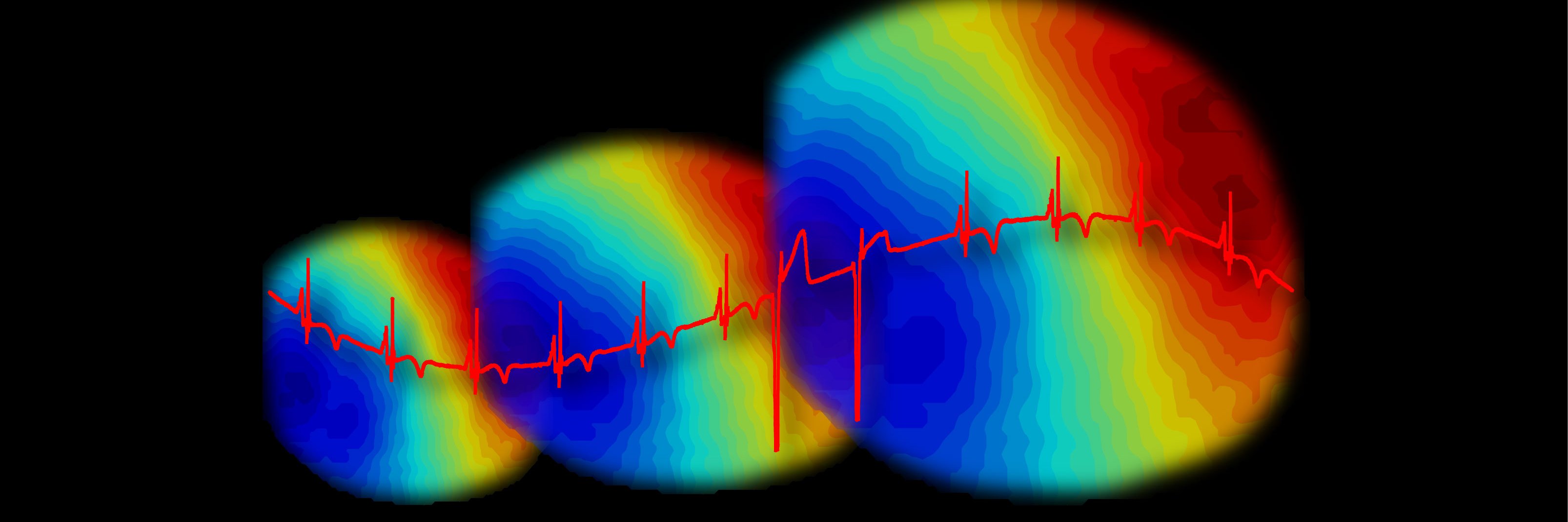 Crystal Ripplinger banner