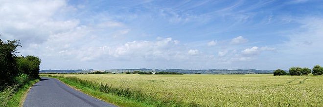 Zeeshan Hashim banner