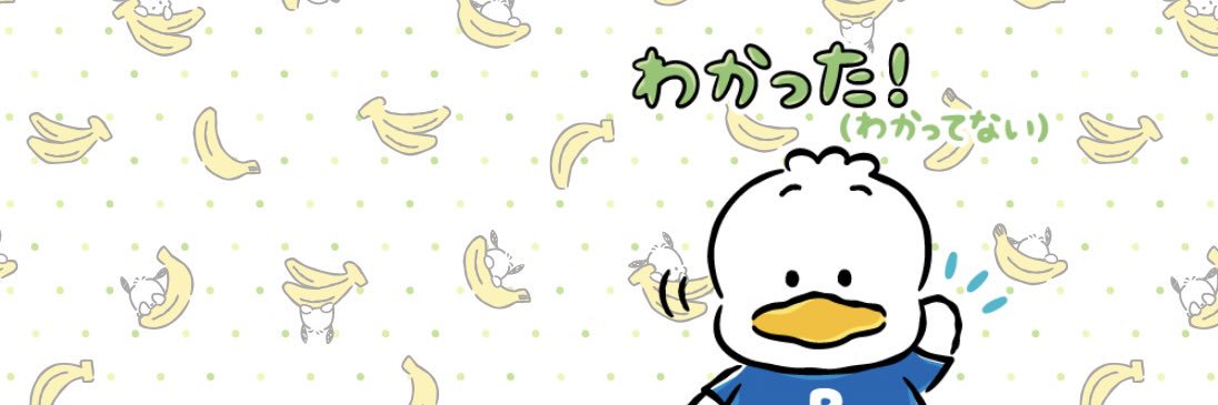 Snndsk_t's profile banner image