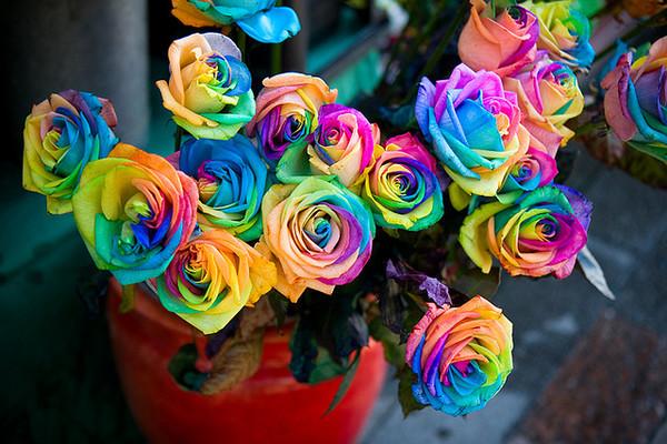 HANTU TIMELINE banner