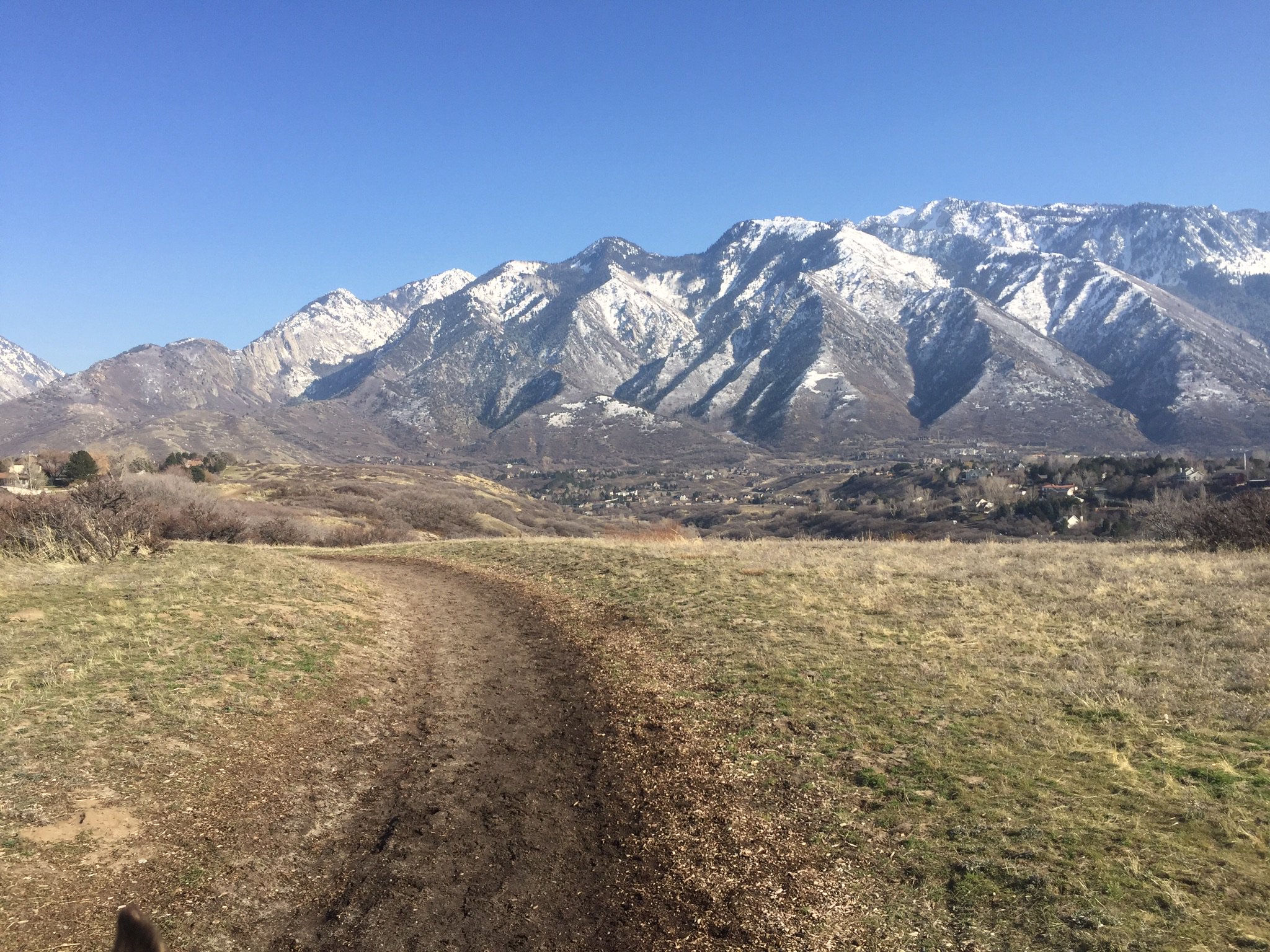 ZoltanskiUtah9's profile banner image