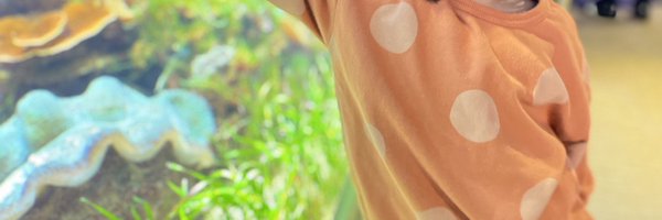 chord0708 Profile Banner