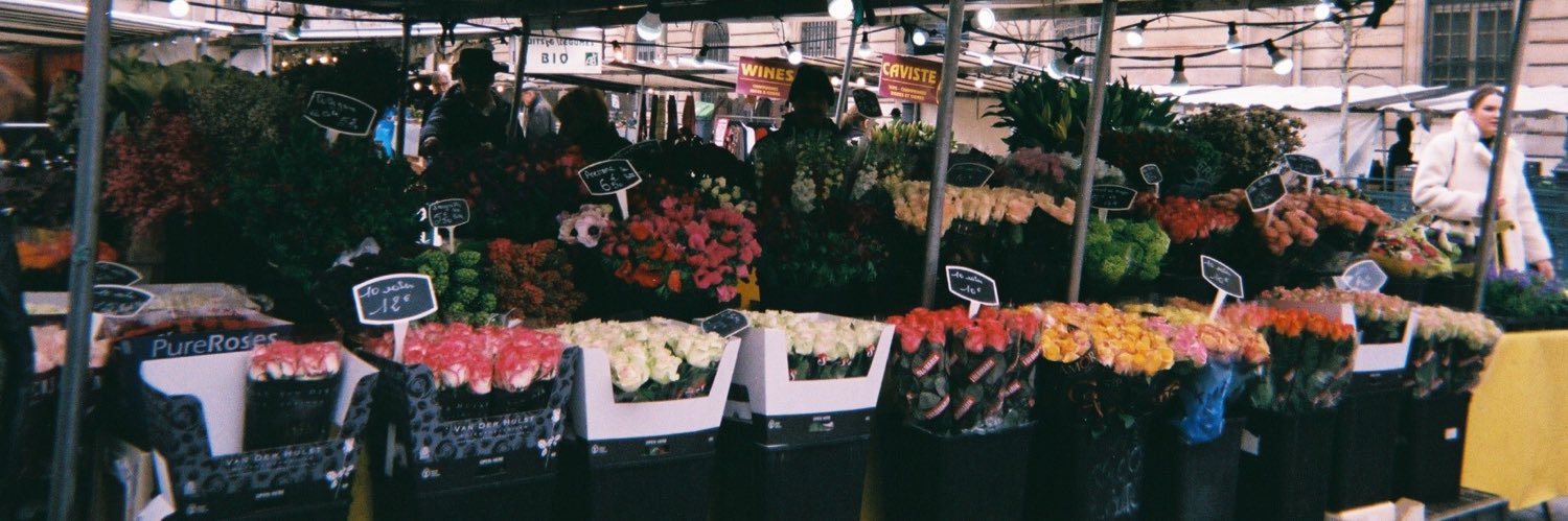 martamsamper's profile banner image