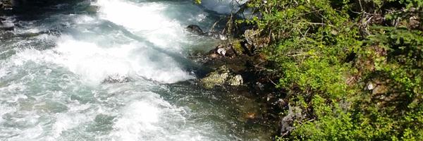 ahowell852 Profile Banner