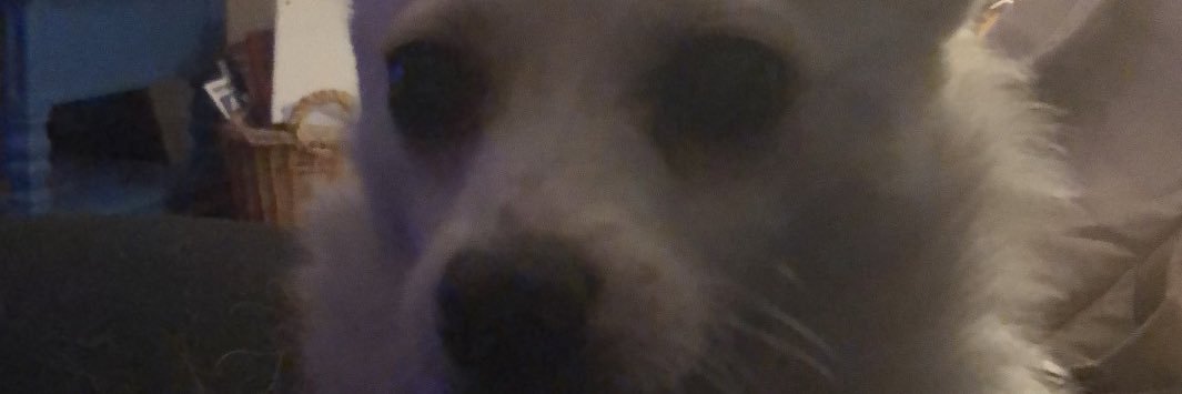 Milkybobas's profile banner image