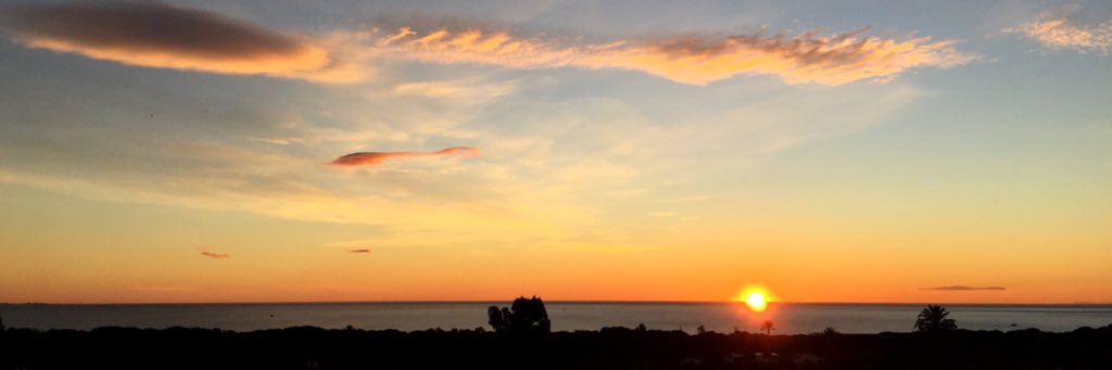 Ana Torregrosa banner