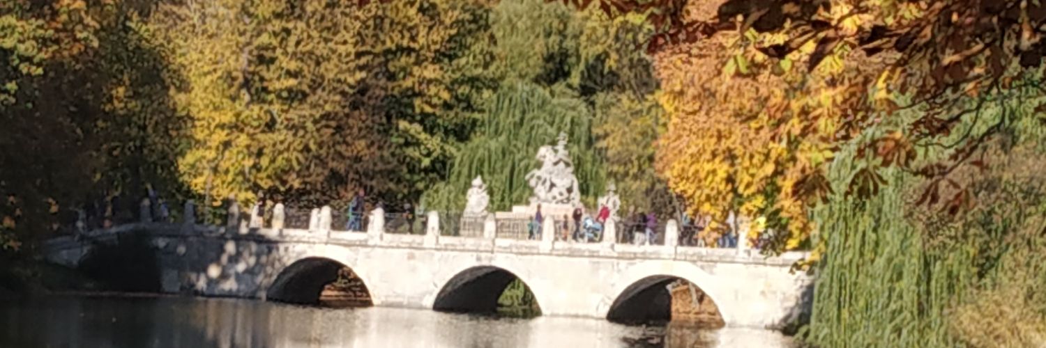 sanskark's profile banner image