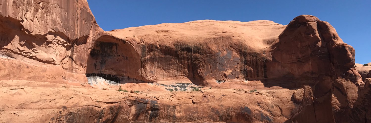 BrettsVest's profile banner image