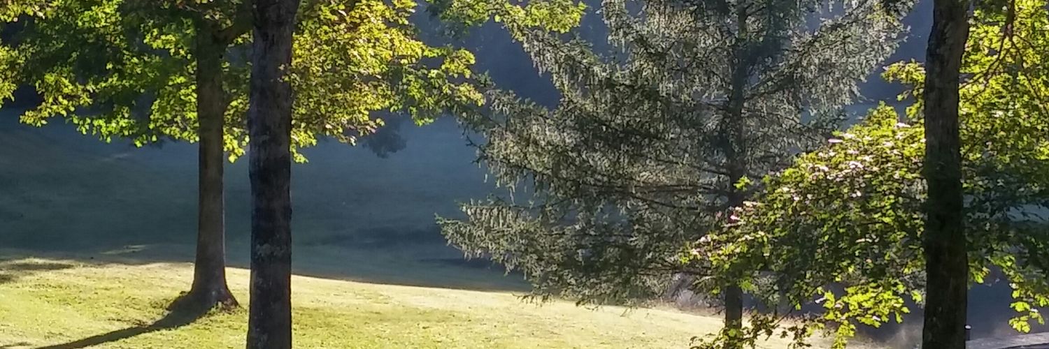 MWriter44's profile banner image