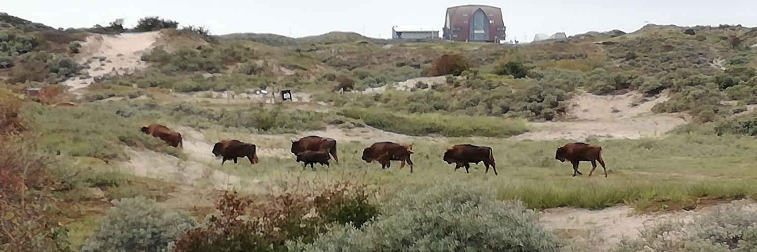 Peter Stokman 🇺🇦 🇳🇱 banner