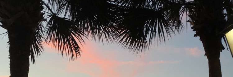 soniaadeasms's profile banner image